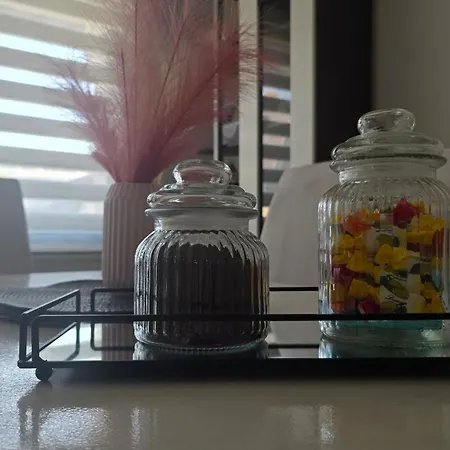 Sim-vlae Apartment *